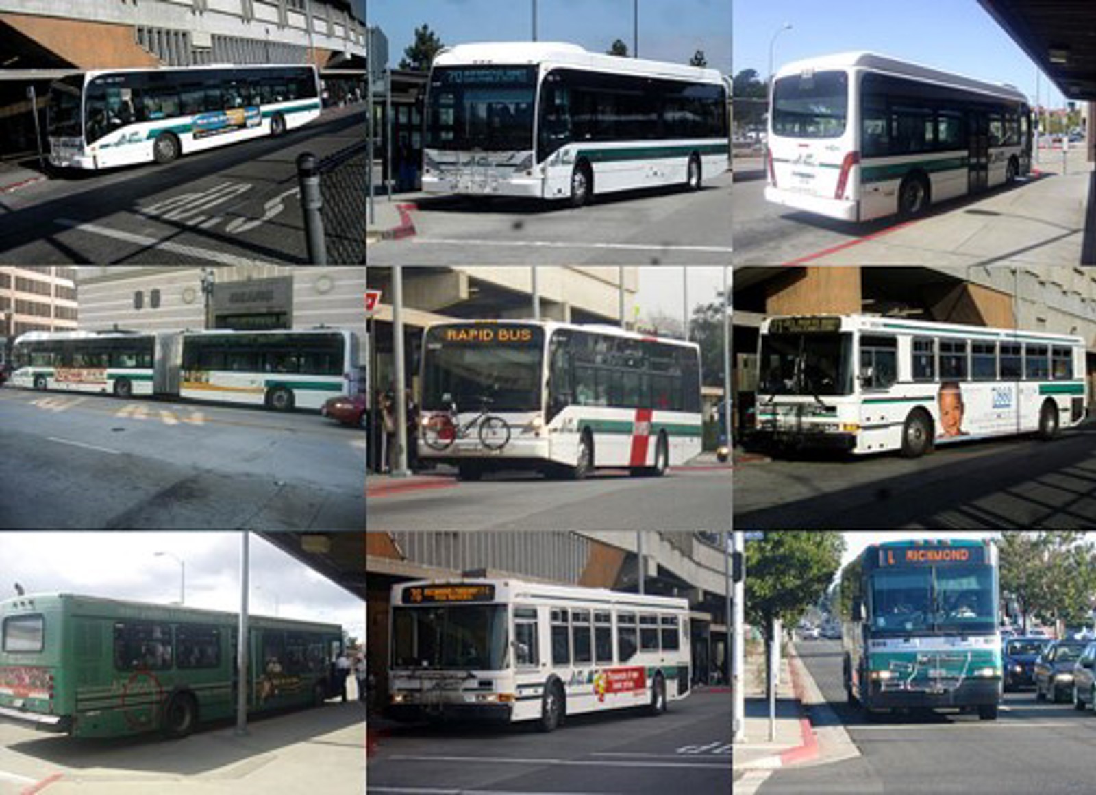 Bus Types